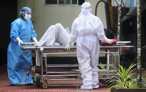 Смертність від вірусу Nipah досягає 70%